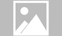 日本动漫猫,探寻日本动漫中的猫咪魅力