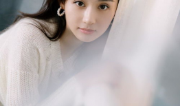 郑合惠子电视剧,演绎多面人生，电视剧中的璀璨星辉